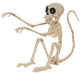 7.25" Crazy Bonez Monkey Skeleton