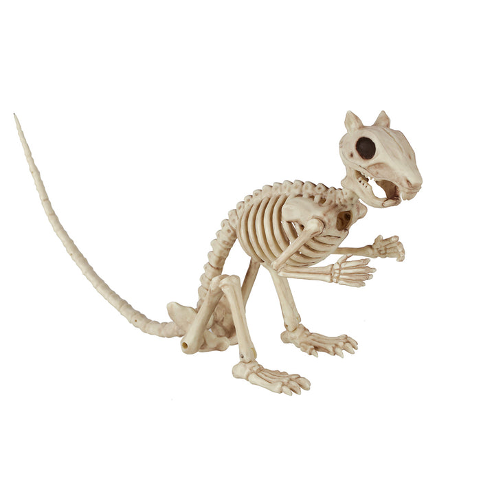 Halloween Squirrel Skeleton 3.5"x 15"x 5.5" | 1 ct