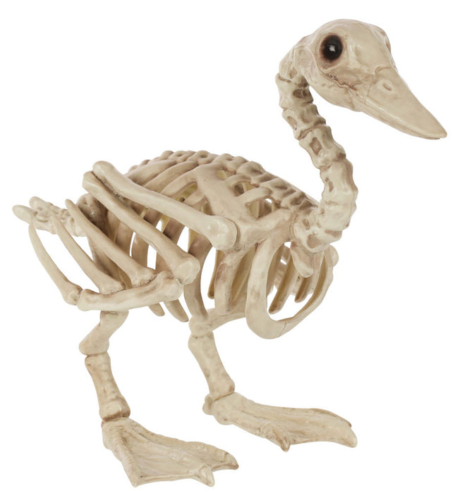 Skeleton Duck 15" | 1 ct