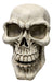 Halloween Giant LED Skull 25" | 1 ct