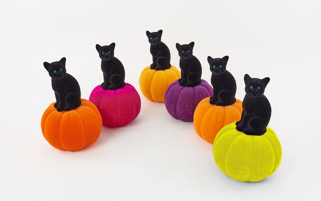 Small Cat on Pumpkin Assorted Colors 14.5in