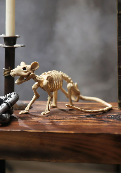 Rat Skeleton